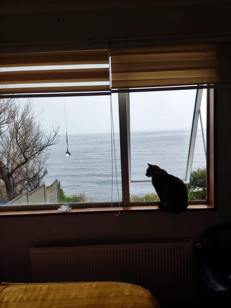 Habitacion doble con vista al mar - Housity