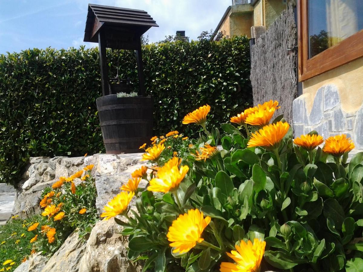 Apartamentos Els Ocells - Housity