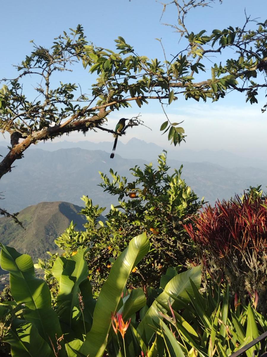 Finca Emilio - Housity