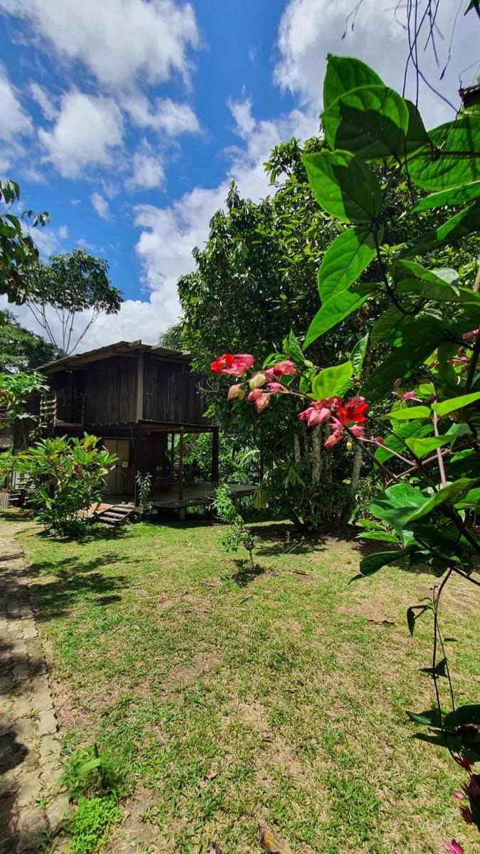 Amazona Lodge - Housity