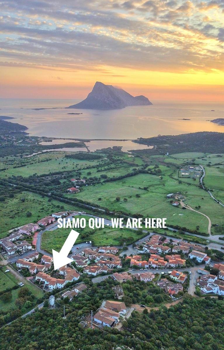 Vista Tavolara - Sardegna Holiday Apartment - Housity