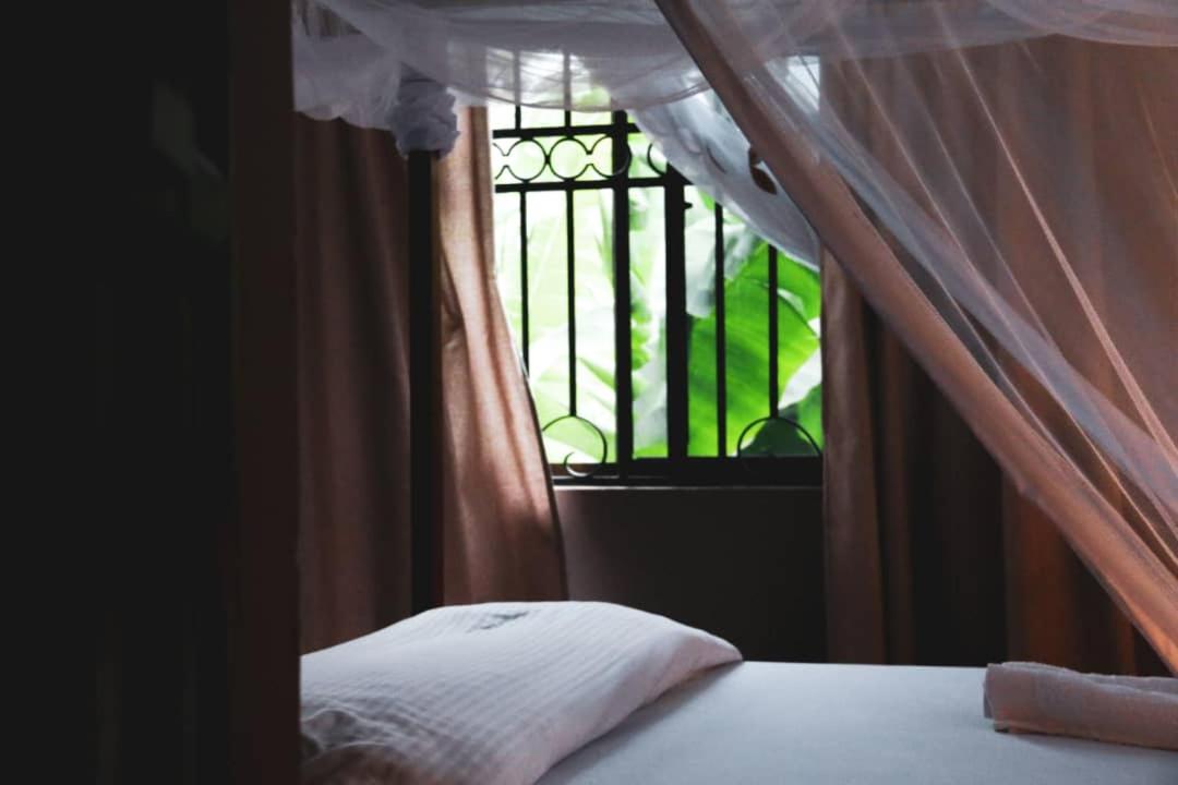 Banana farm lodge - Housity
