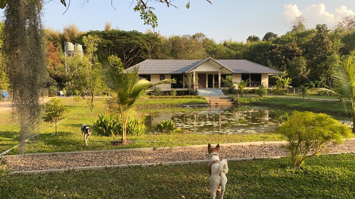 Cosy Country Homestay - Housity
