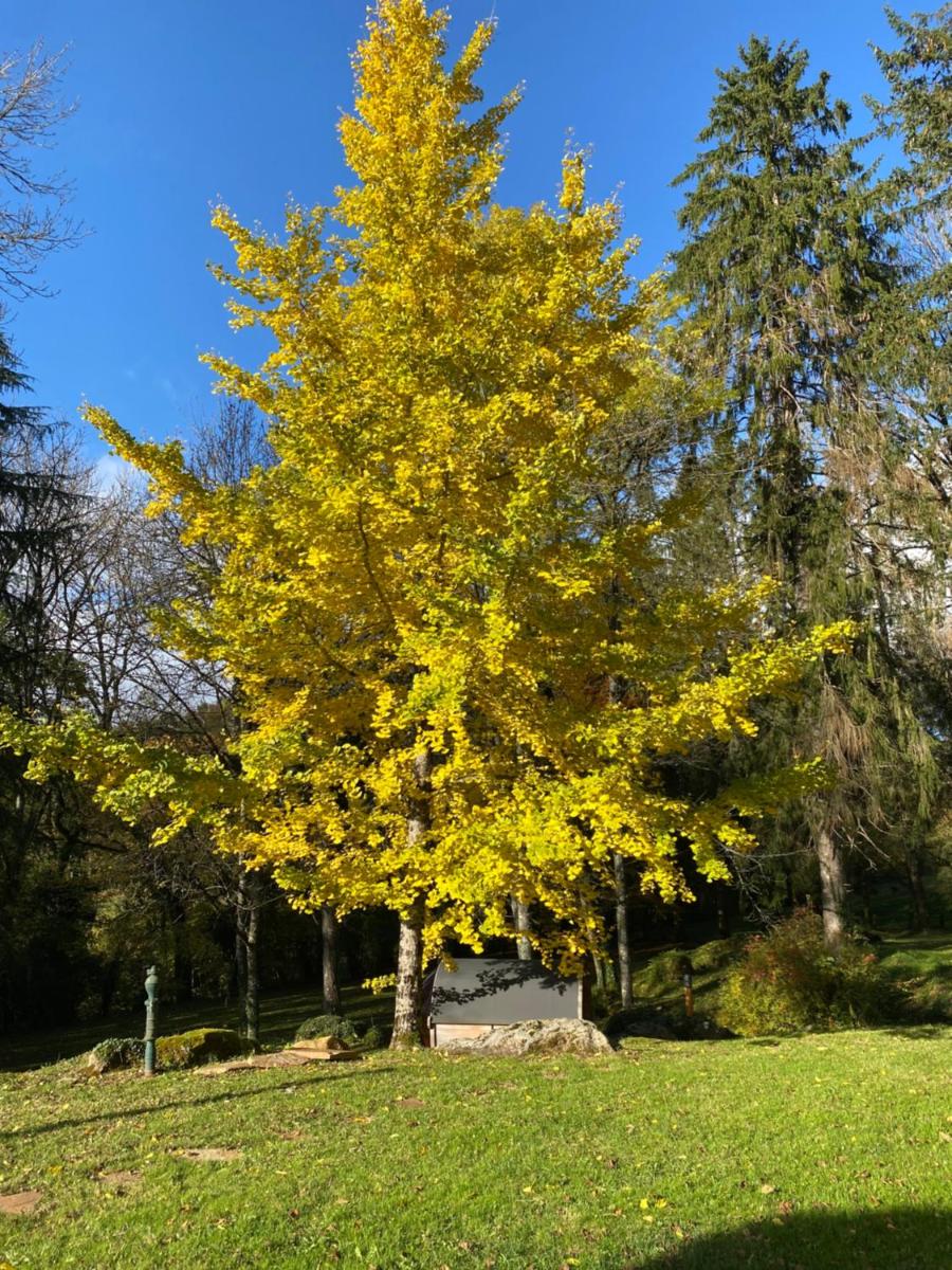 LE TILLEUL DE BRESSOLLES - Housity