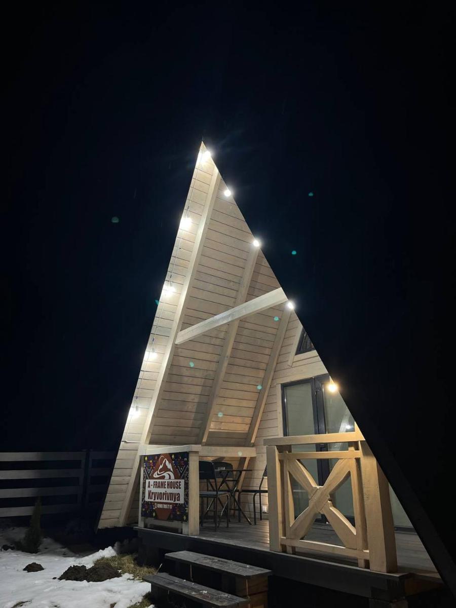 A frame house Kryvorivnia - Housity