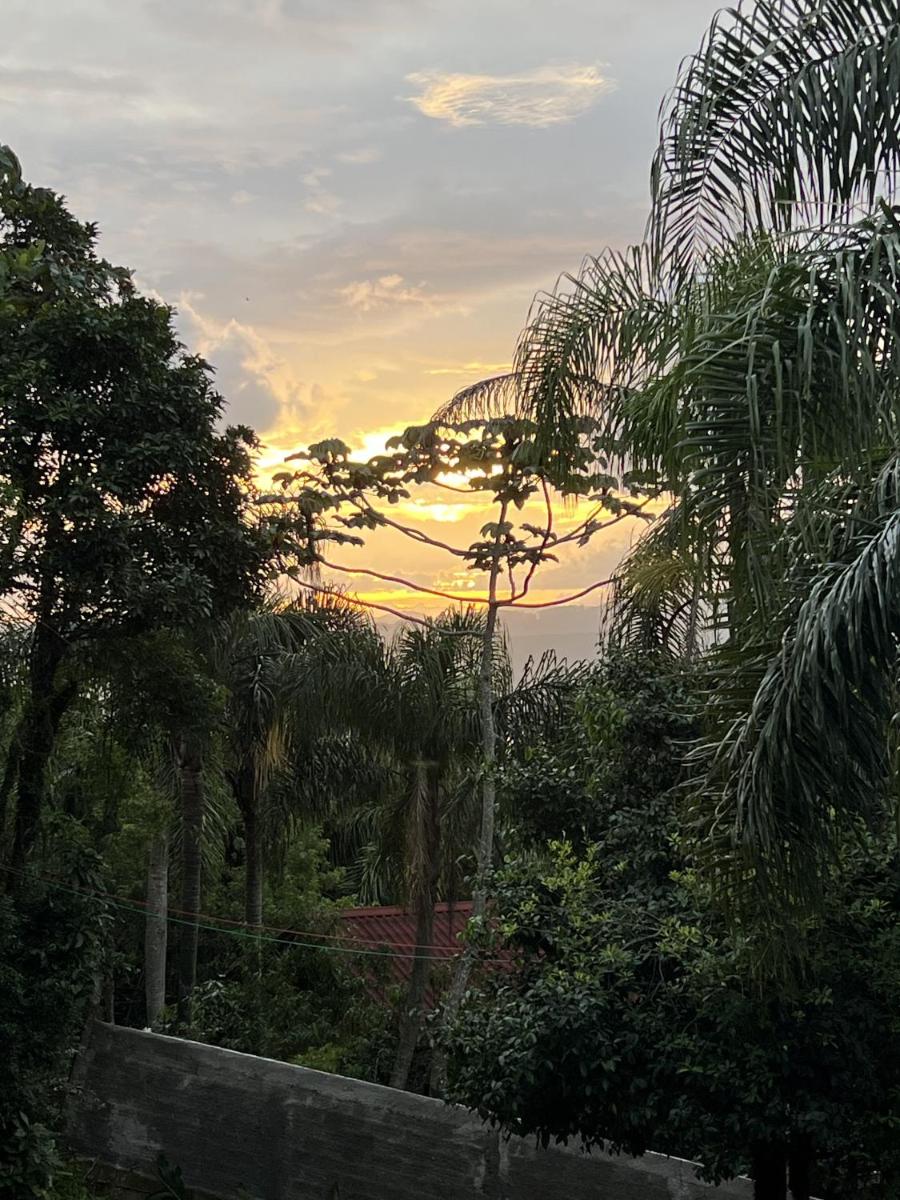 Natural Forest - Housity