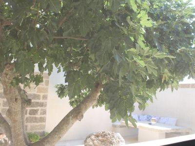 Dimora Cavalieri charming house salento puglia - Housity