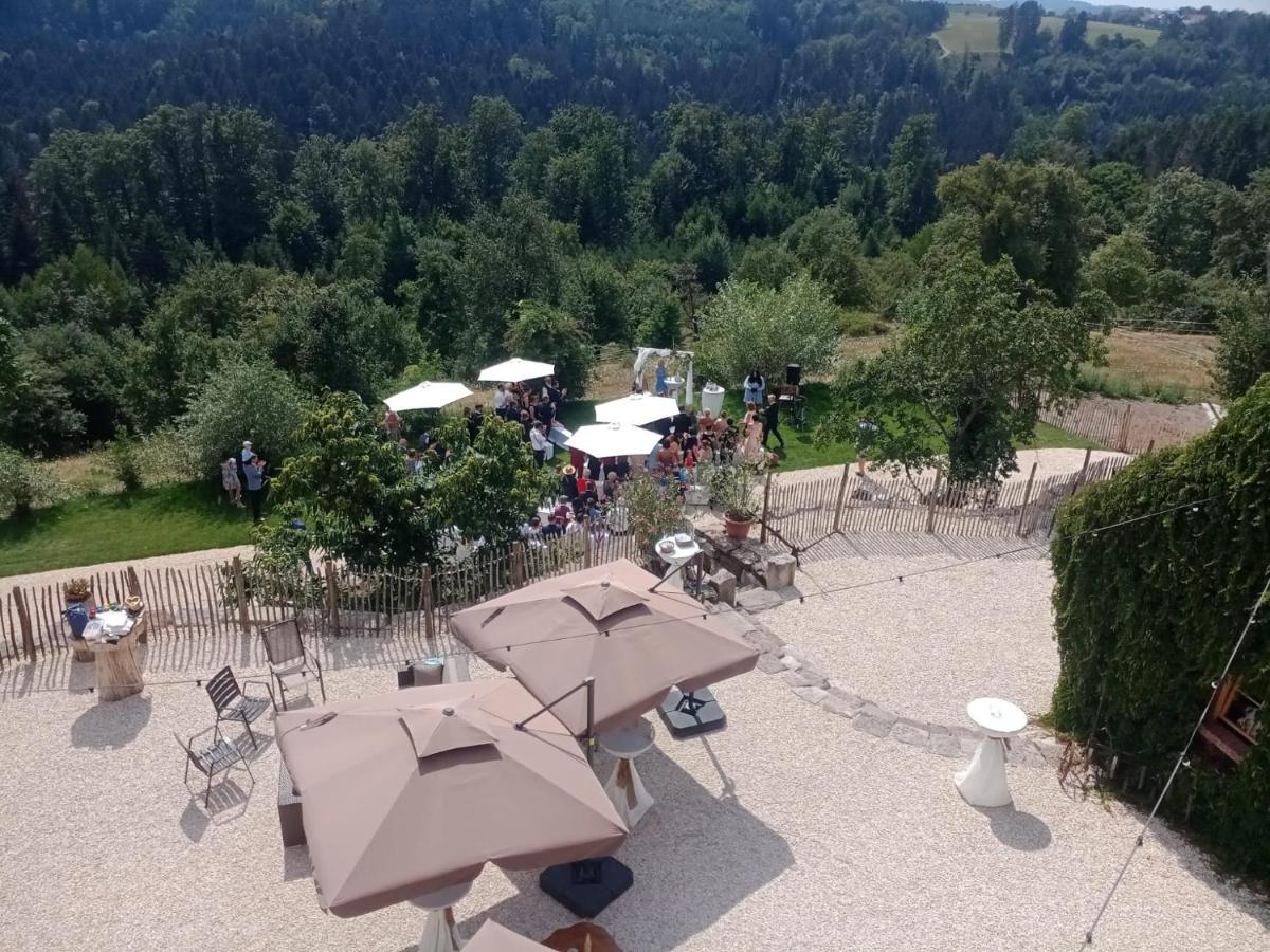 Lana Salta Alpakas - Gemütliche Gästezimmer auf dem Bauernhof - Housity