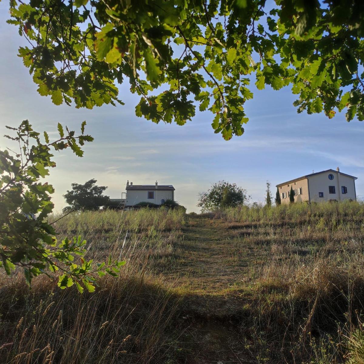 Tenuta La Castelluzza - Housity