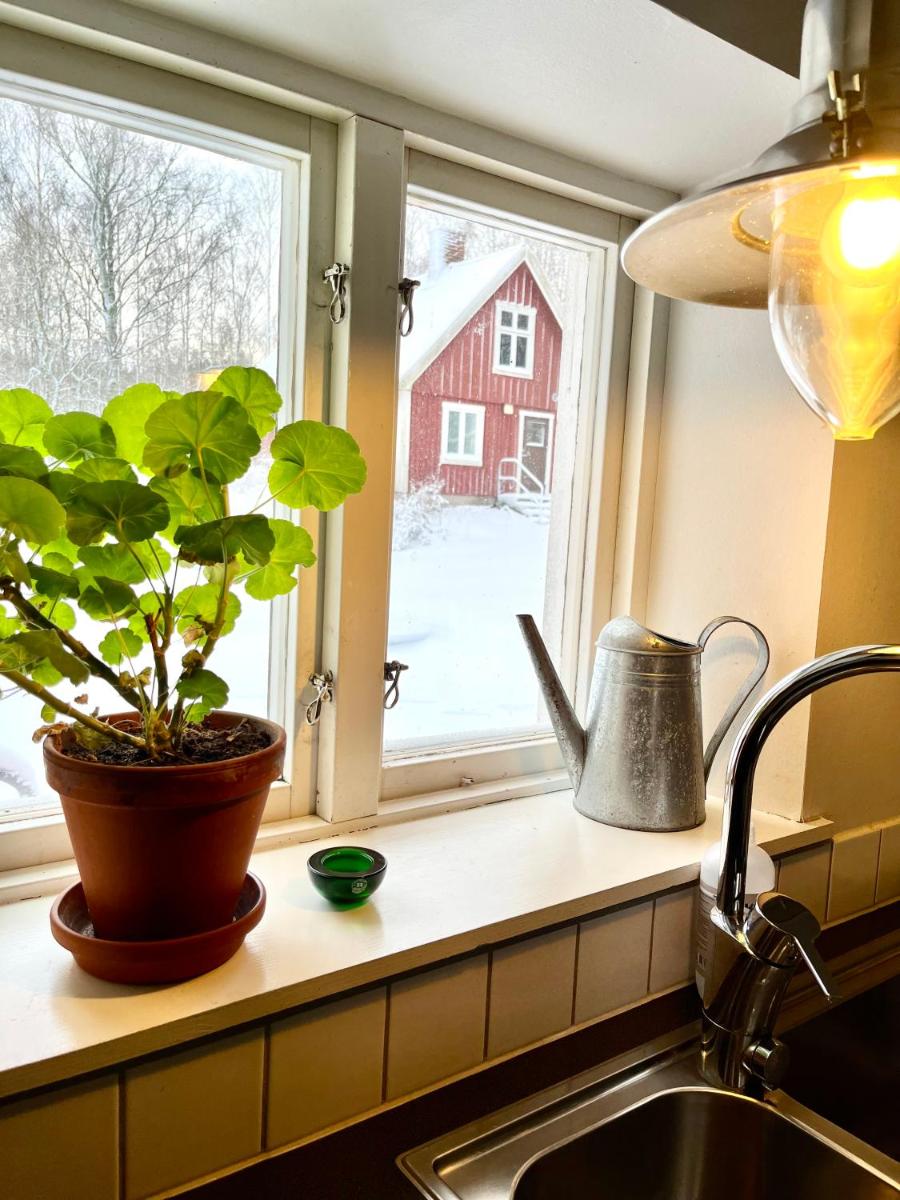 Orehus - Country side cottage with garden - Housity