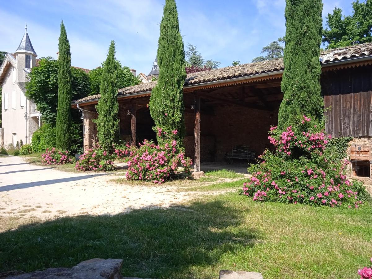 Maison calme avec piscine entourée de son parc - Housity