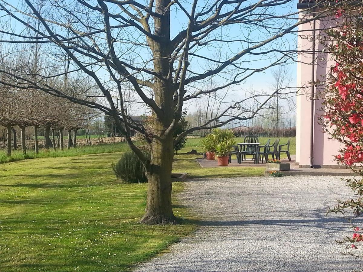 Casarosa B&B - Housity