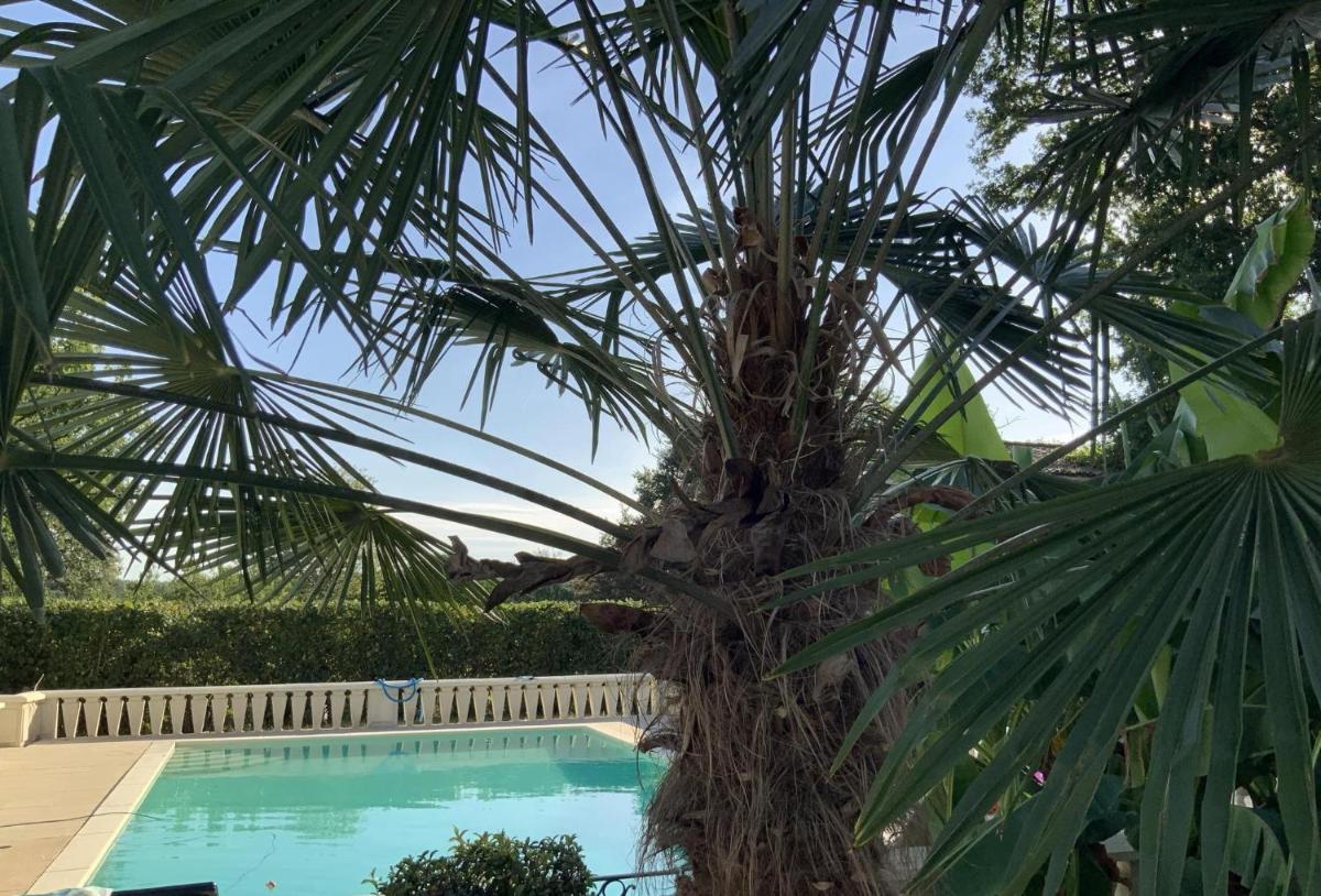 La Petite Maison de la Détente with pool. - Housity
