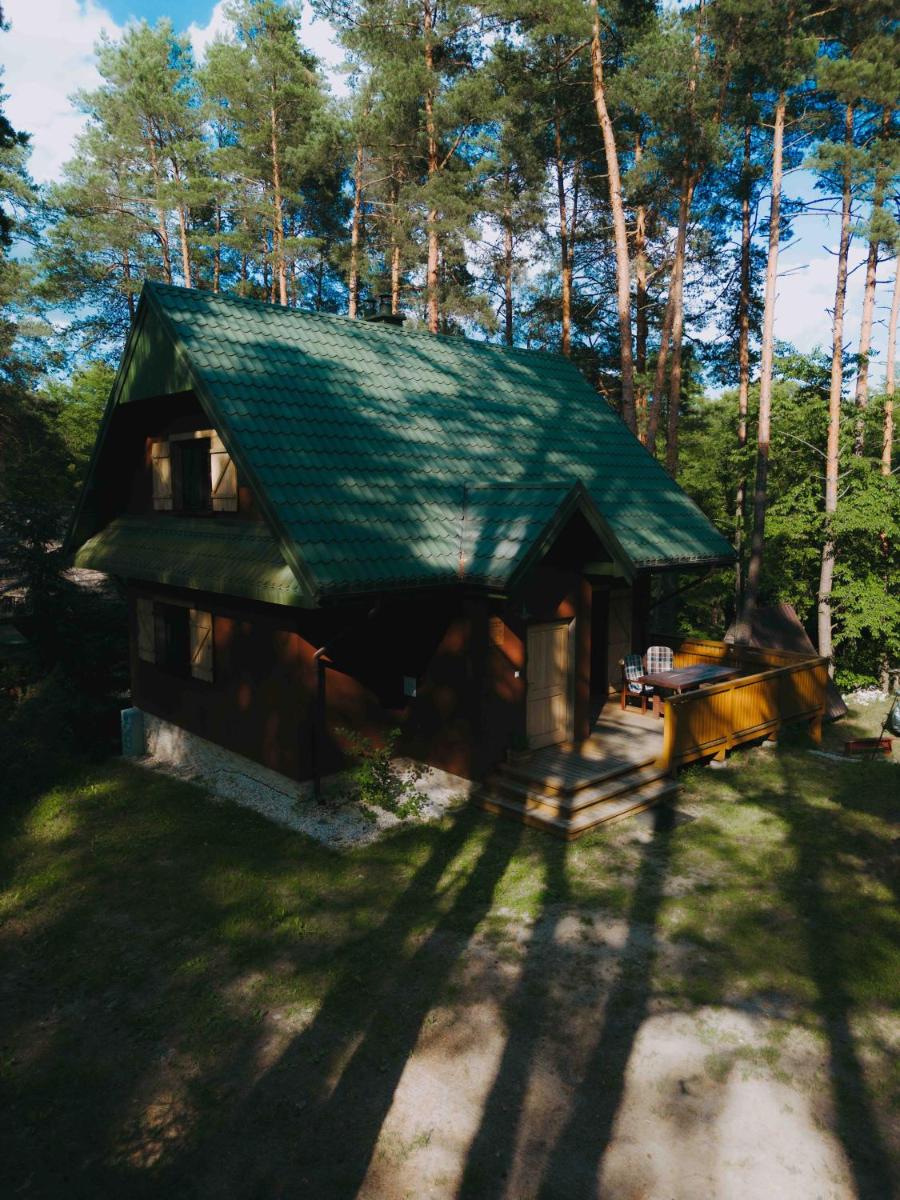 Domek Leśny nad Tanwią - Housity