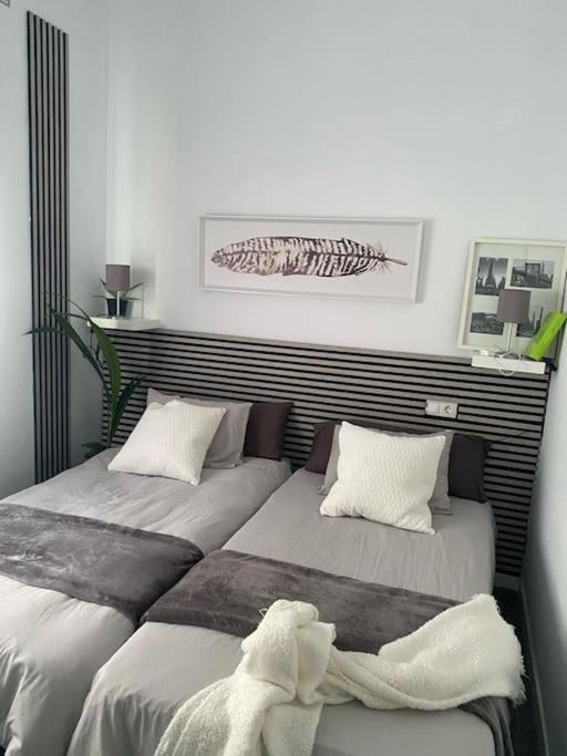 Altomira Dreams - Housity