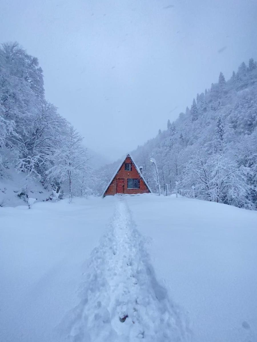 Mountain House - Bungalow - Housity