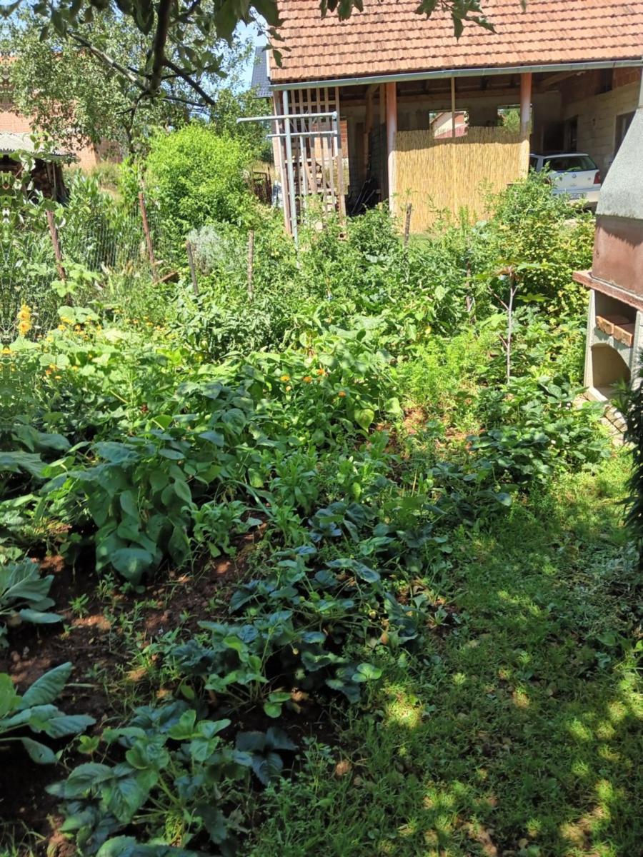 APARTMAN PAVELIĆ - Housity