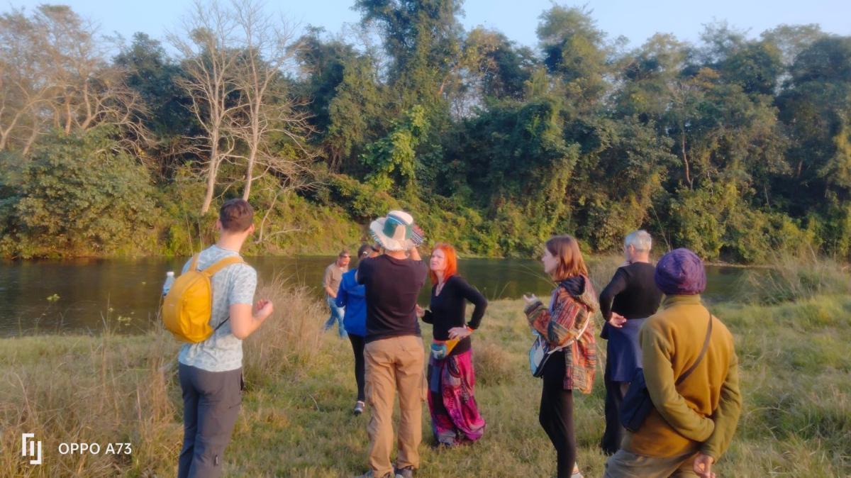 Hotel Tiger Tops Sauraha - Housity