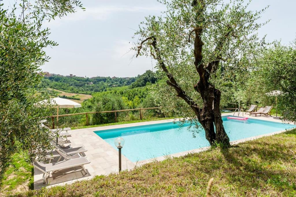 Podere l'Ulivo - Housity