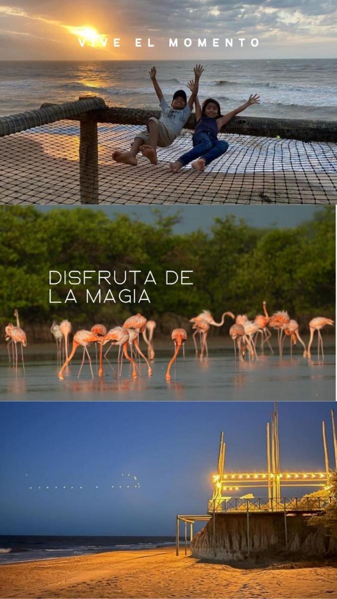 Mar Azul - Playa y Turismo - Housity