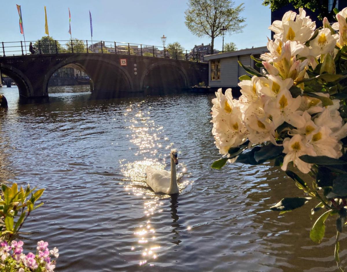 Suitetrails - Houseboat Orpheus