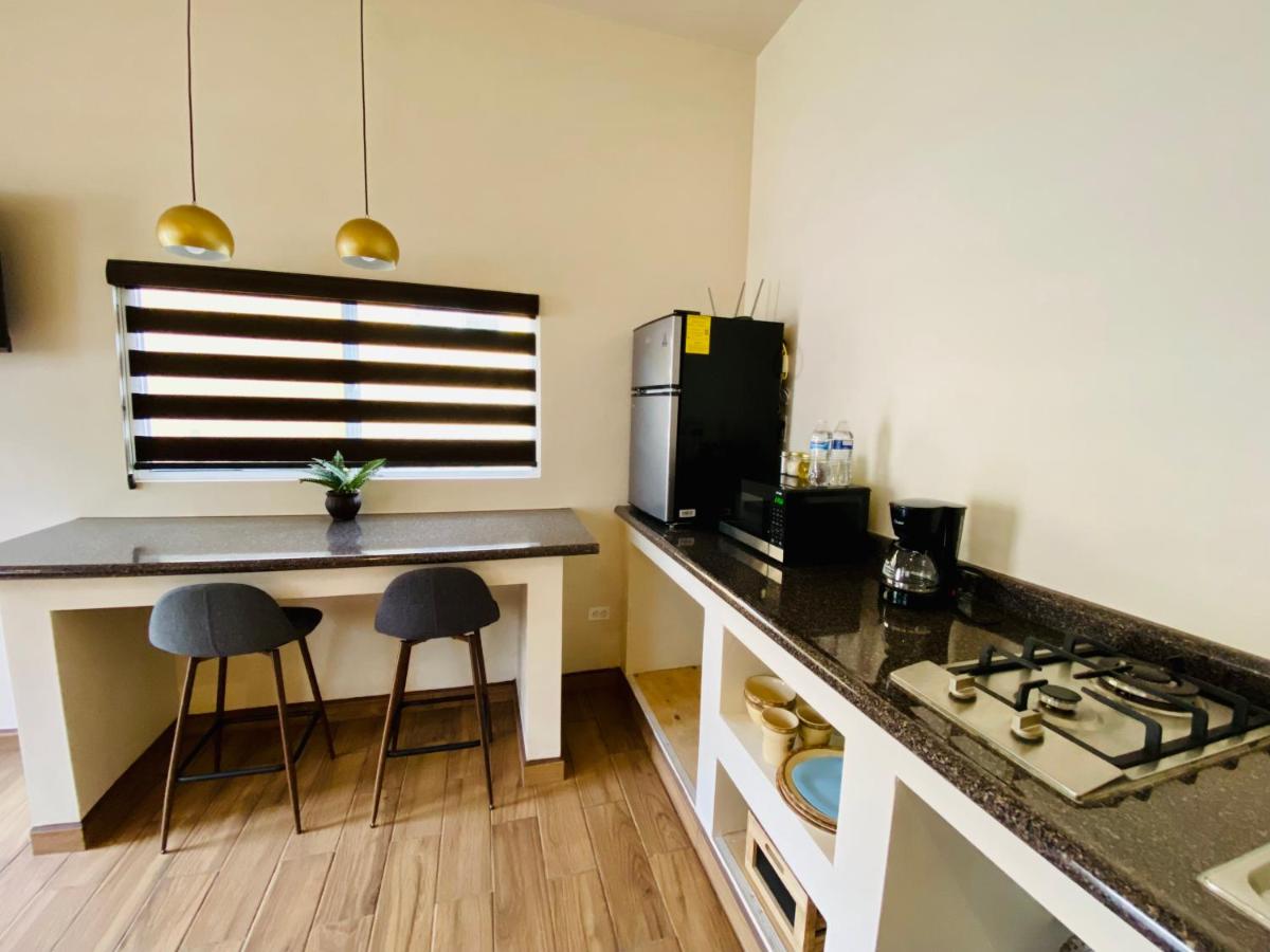 Cozy & Quiet Pet friendly Studio - Housity