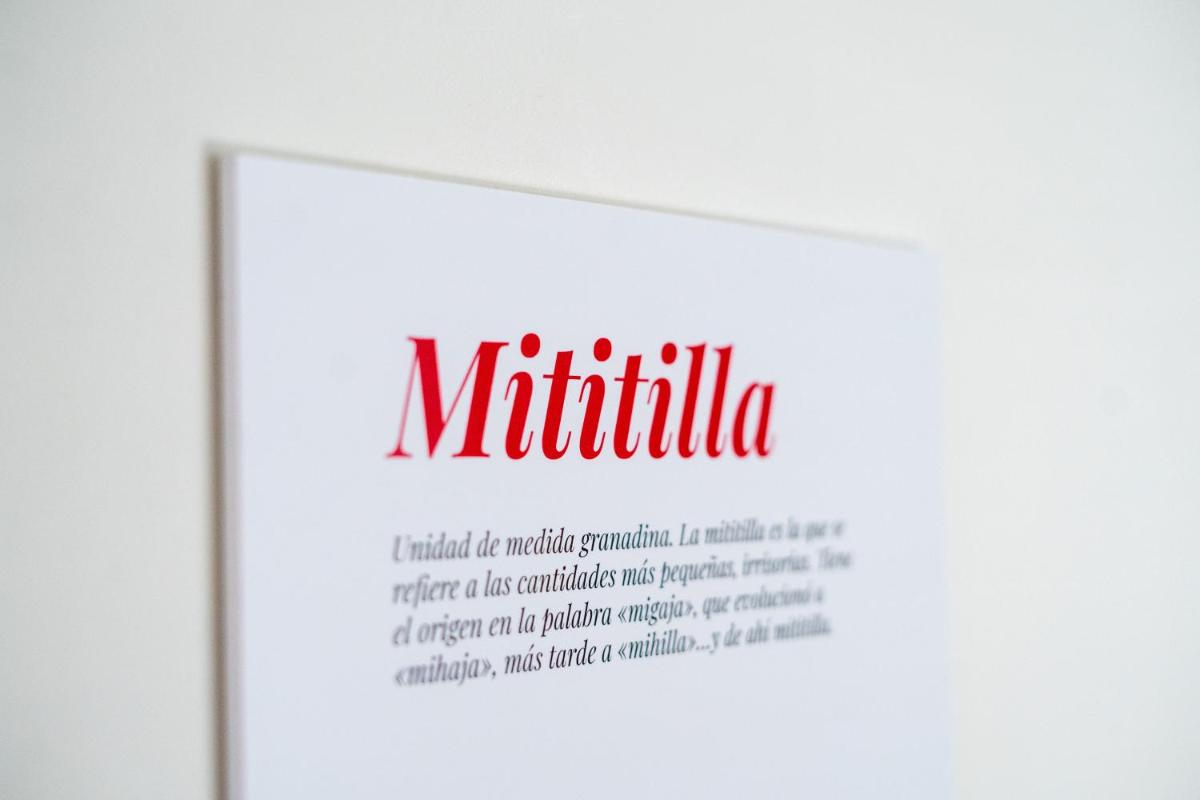 Apartamento moderno en el centro de Granada - Mititilla - Housity