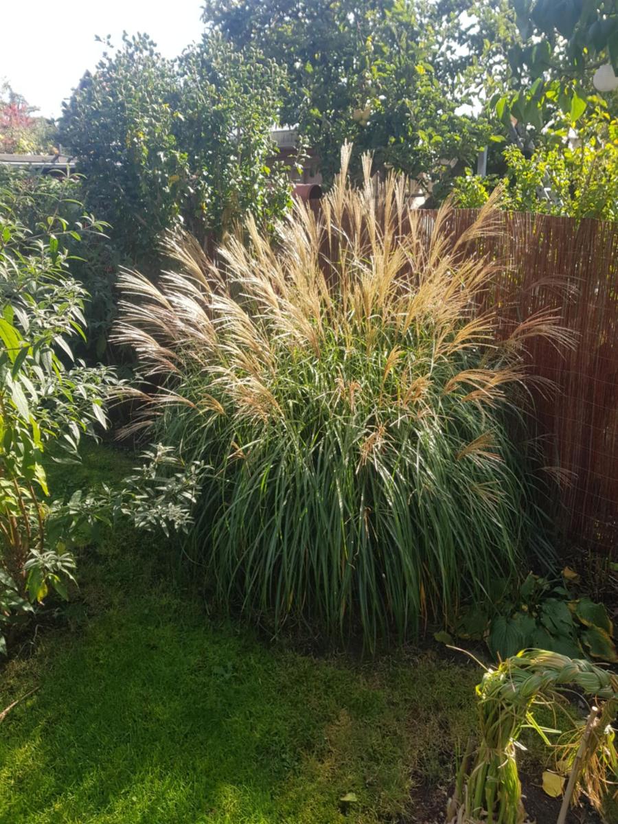 FeWo Weimar - Housity