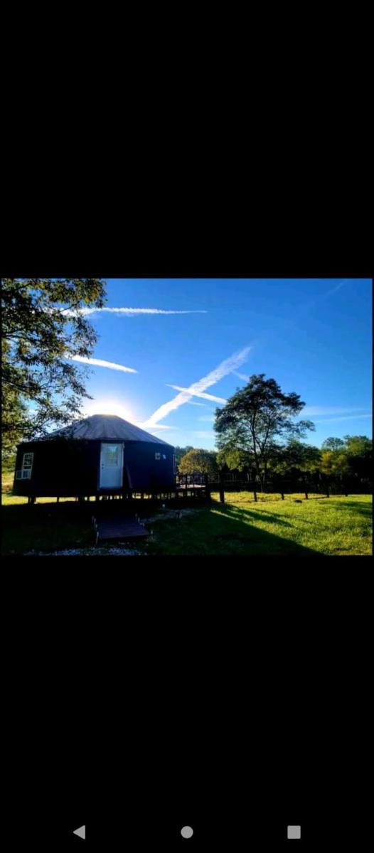 Madison's ONLY yurt experience! - Housity
