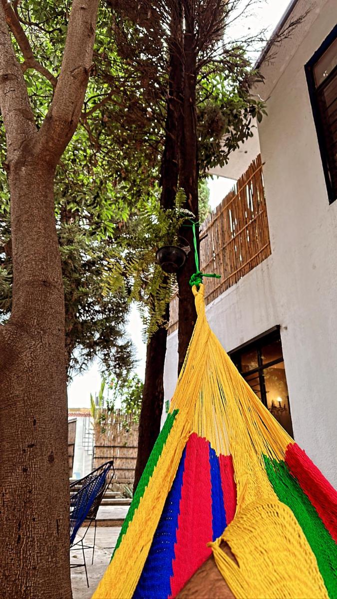 Xitla Hostel - Housity