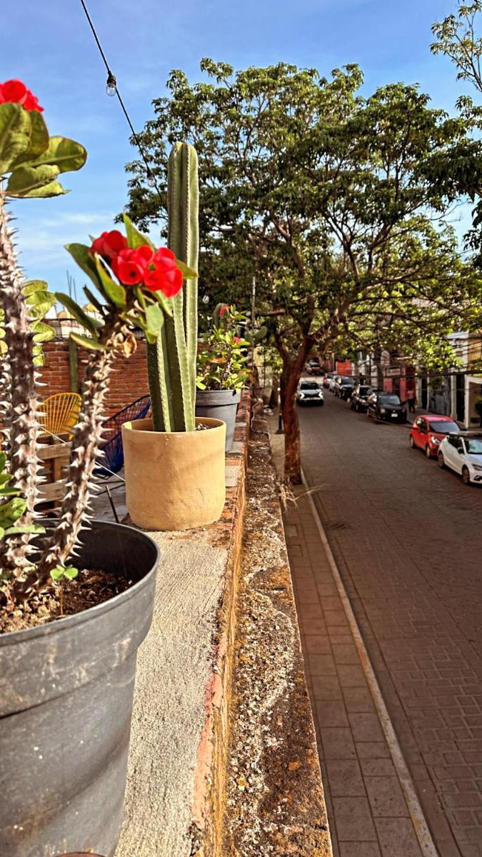 Xitla Hostel - Housity
