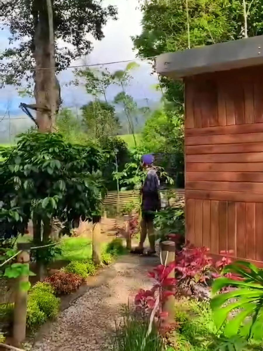 Penginapan nuansa Riung gunung - Housity
