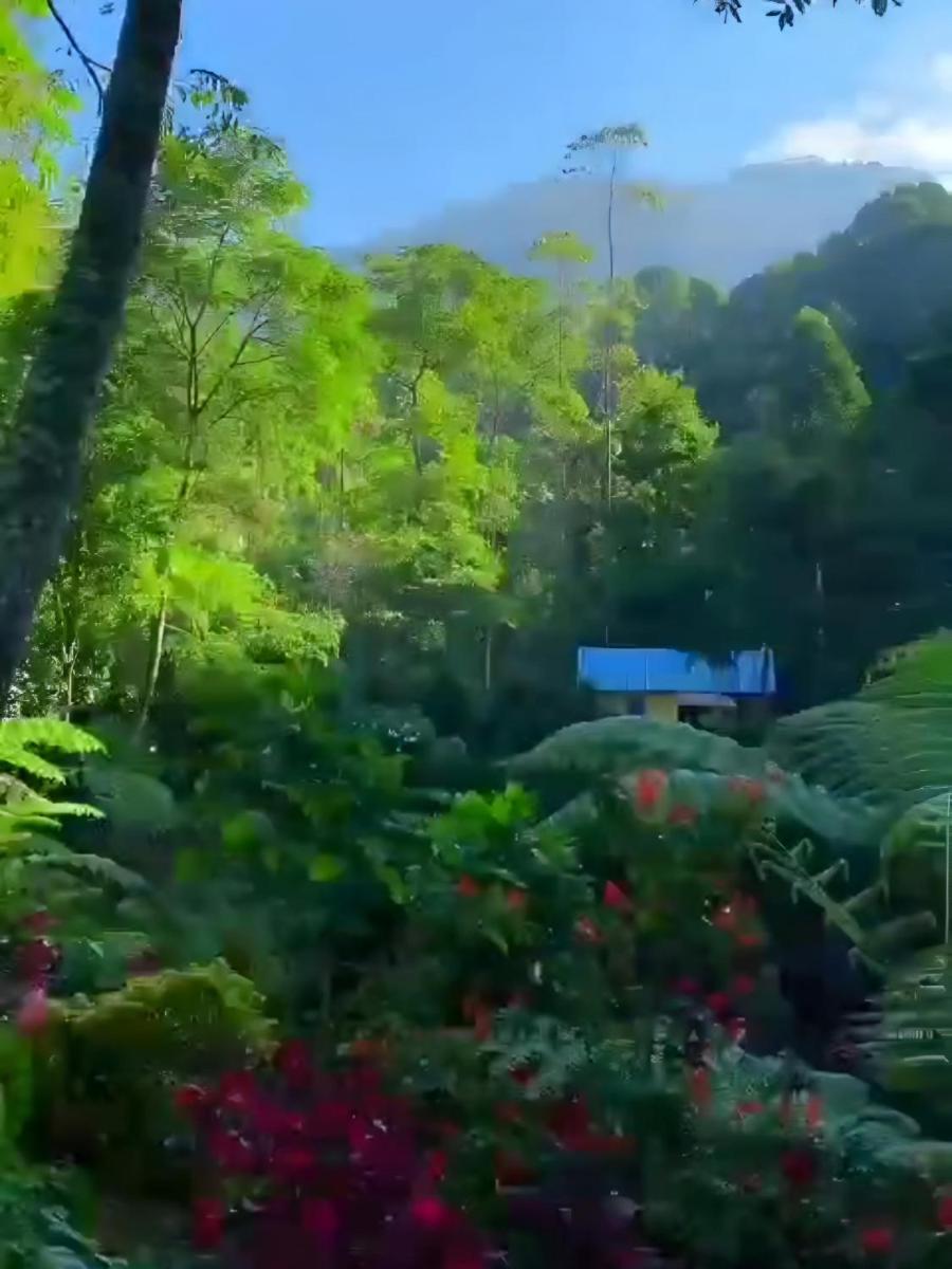 Penginapan nuansa Riung gunung - Housity