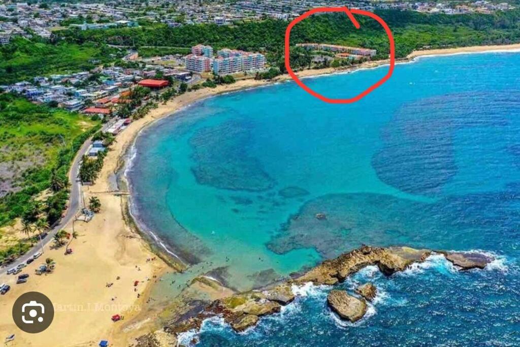 Beachfront Studio Apt w/ Full Kitchen & Pool - Housity