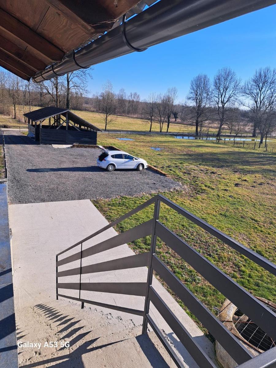 Apartman T&N - Housity