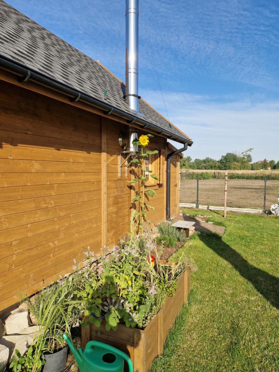 Domek rekreacyjny U Marcina - Housity