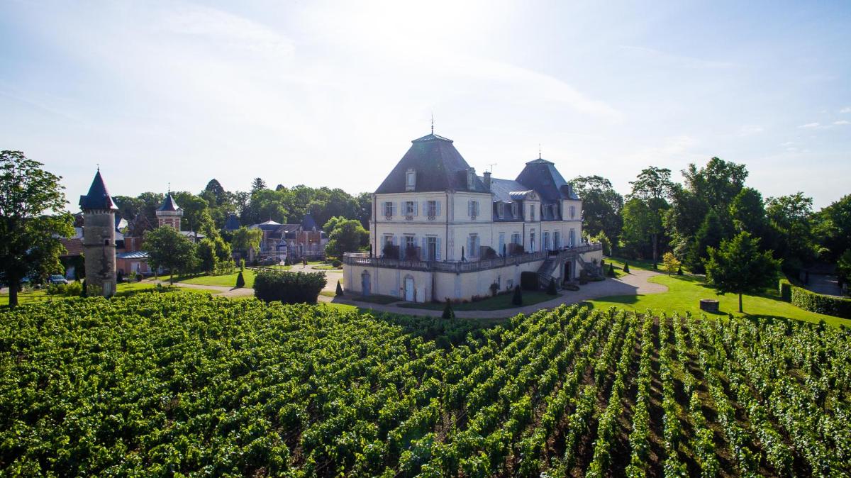 un domaine au milieu d'un champ de vignes dans l'établissement Château de Cîteaux - Fontenille Collection, à Meursault