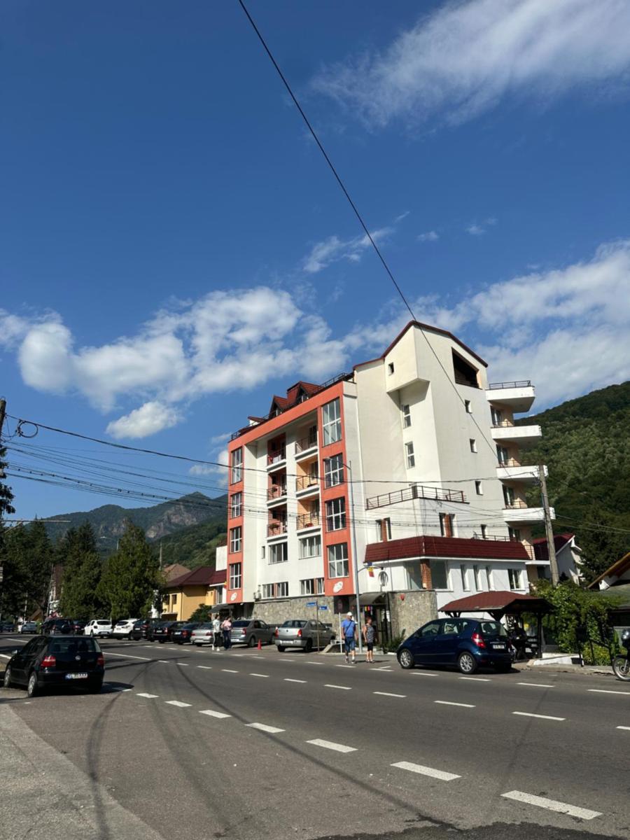 Vila Trandafirul si Liliacul - Housity