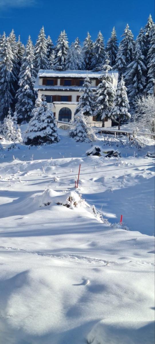 Villa Kostic Kopaonik - Housity