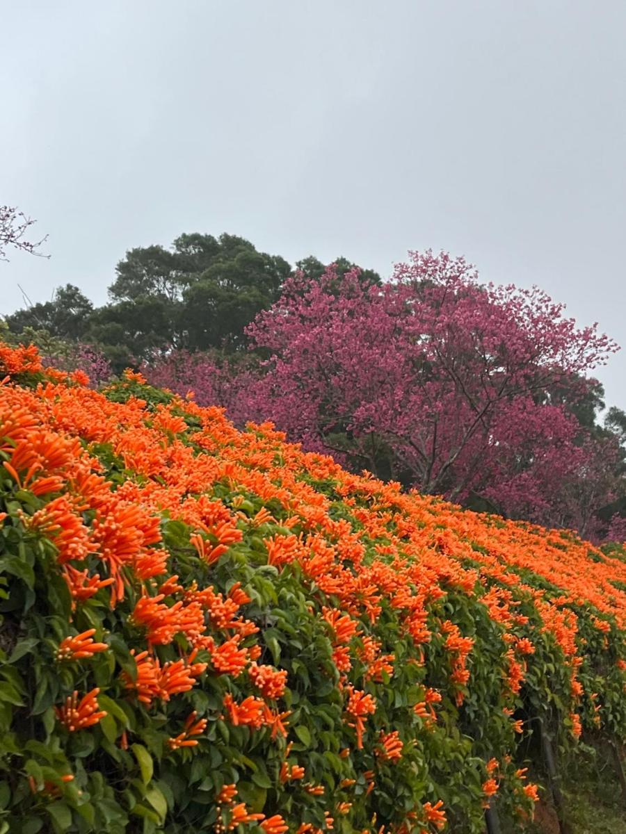 Tong Xin Farmstay - Housity
