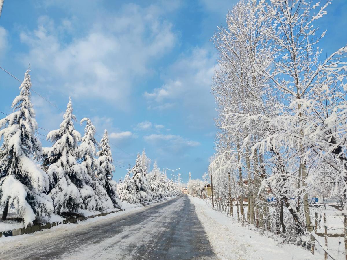 Kashmir Homestay - Housity