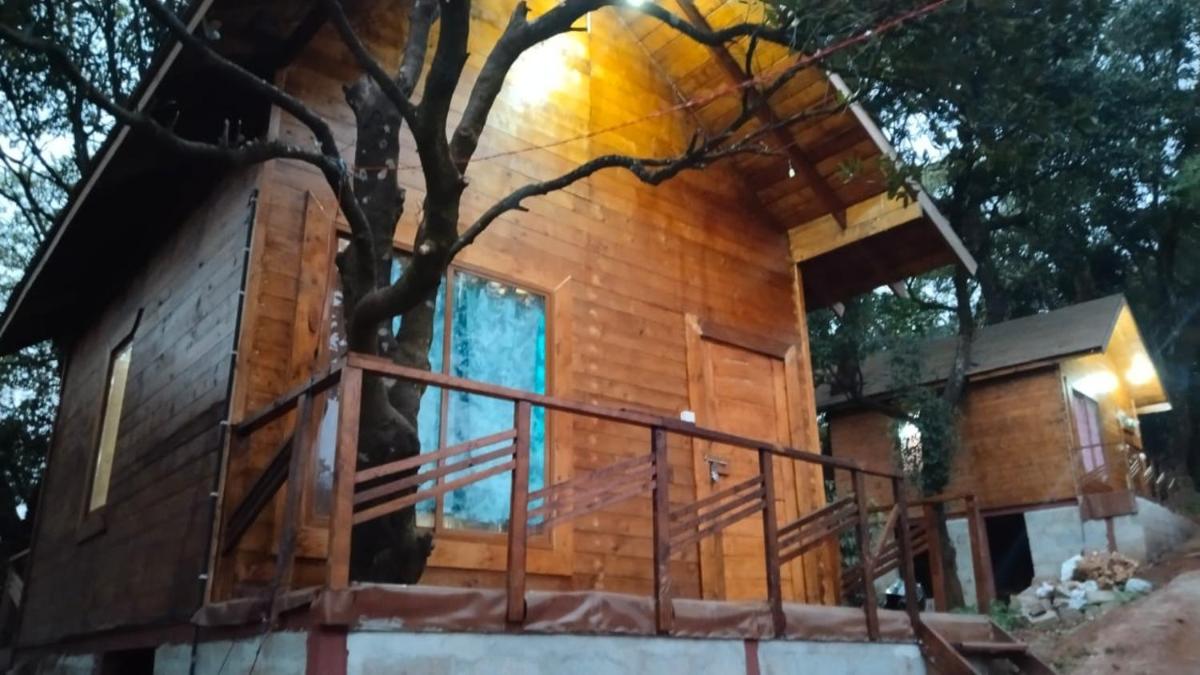 Jhari Mountain View Tree house - Housity