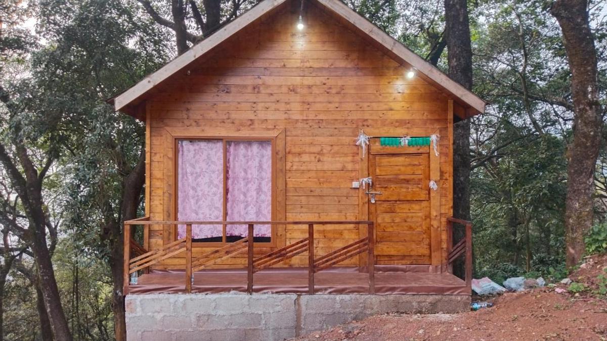 Jhari Mountain View Tree house - Housity