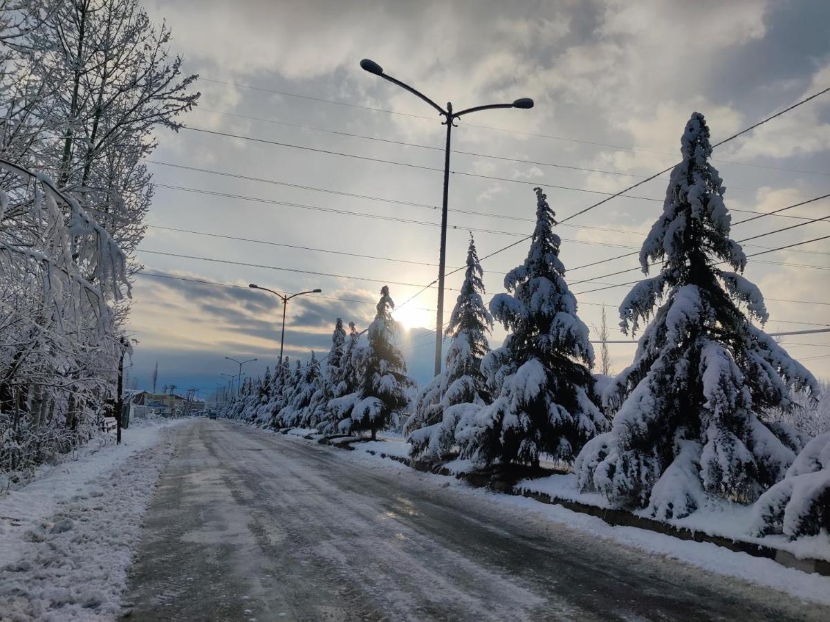 Kashmir Homestay - Housity