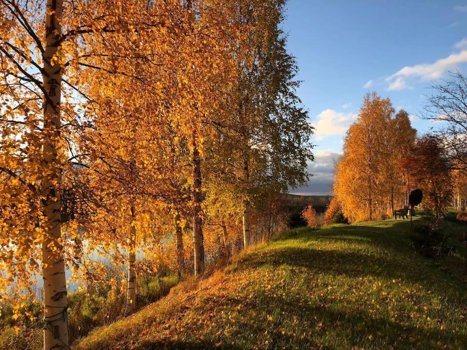 Studio by the river Ivalo - Housity