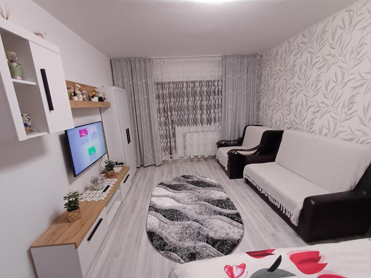 Garsoniera George - Housity