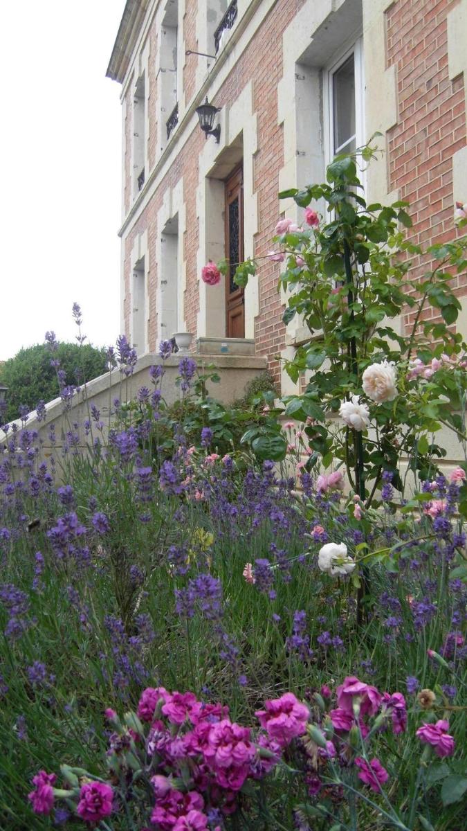 Fleur De Senon - Housity