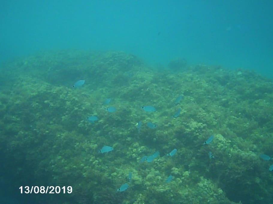 HH Apartamento La Herradura Playa - Housity