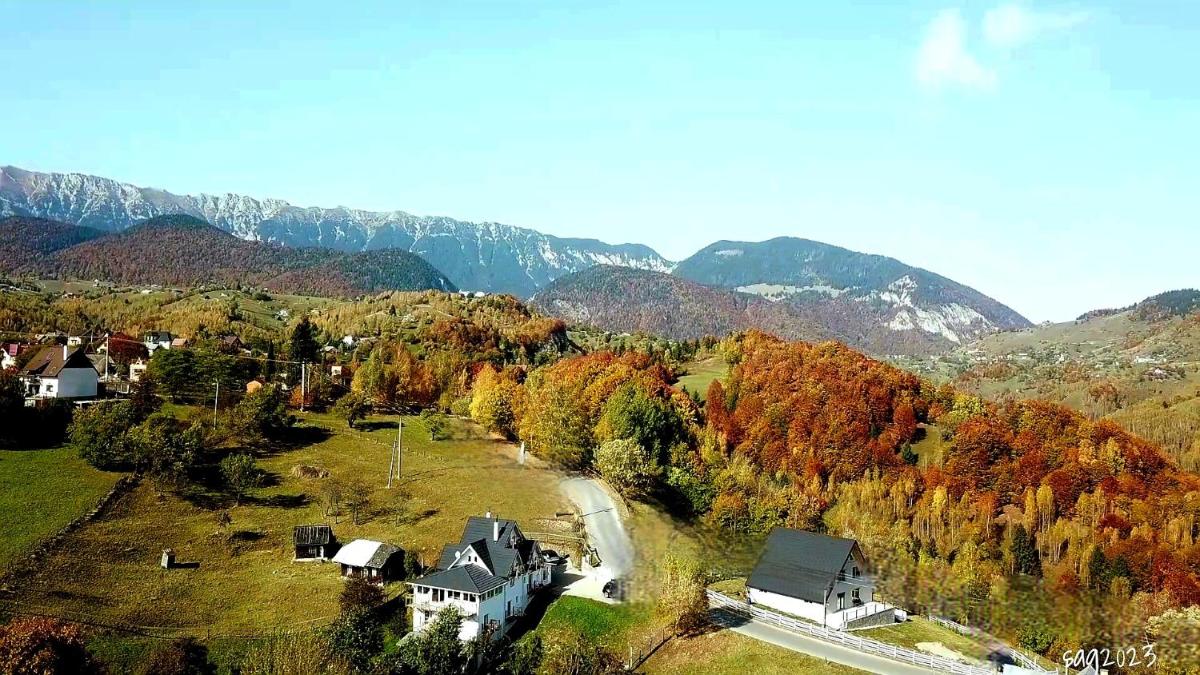 Carpathia Magic -adults only - Housity