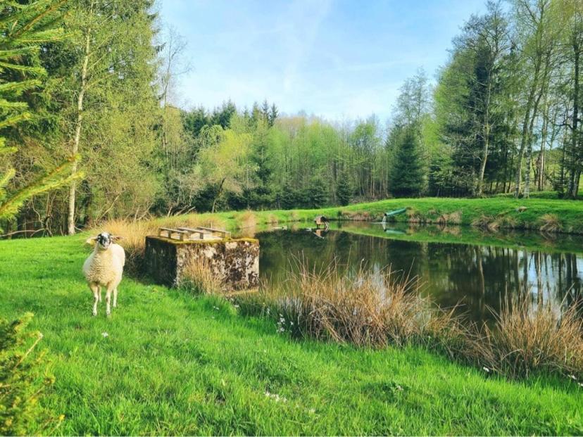 Chalet les Jales Jacuzzi et étang ! - Housity